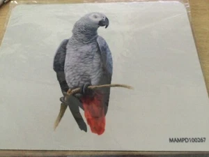 Mausmatte mit Papageien Design - Bild 1 von 1