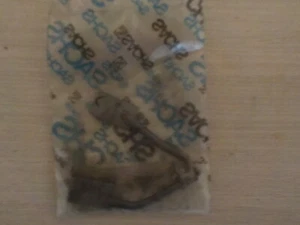 CHARBONS DE DYNAMO VOITURETTE FLIPPER. - Bild 1 von 1