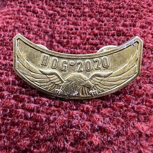 Harley Davison Pin 2020 - Bild 1 von 1