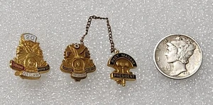 FOE 20 Jahre brüderlicher Orden der Adler - Vergangenheit Frau Präsidentin Pins - Bild 1 von 9