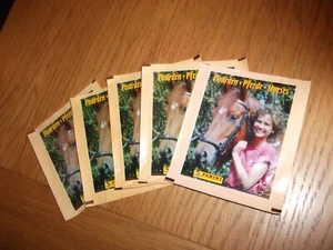 Panini Horses Paarden Pferde 1994 1995 Sticker - 20 ungeöffnete Päckchen - Bild 1 von 4