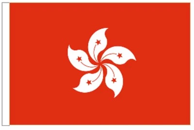Hong Kong Region Sleeved Courtesy Flag ideal for Boats 45cm x 30cm - Image 1 of 2