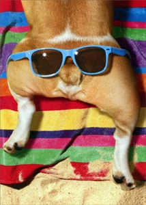 Birthday Greeting Card - Dog with Glasses on Butt - Belated - Picture 1 of 2