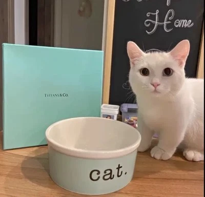 Tiffany & Co. Retired Double Pet Cat Bowl Dish Bone China - Image 1 of 4