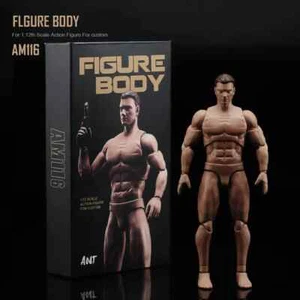 ANT AM116 1/12 Scale Male Flexible Muscular Body Custom Head 6'' Action Figure - Picture 1 of 12