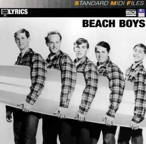 Pro MIDI File Floppy Disk - Beach Boys - Picture 1 of 2