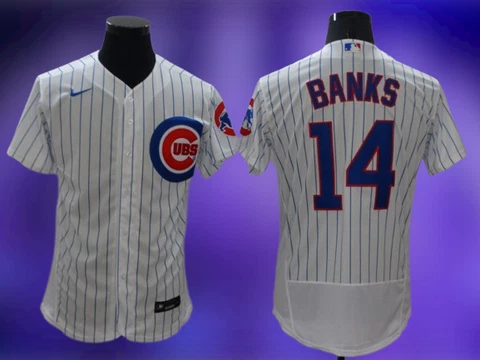 Men's Chicago Cubs #14 Ernie Banks Flex  Cool Base Stitched Jersey All CS Cover