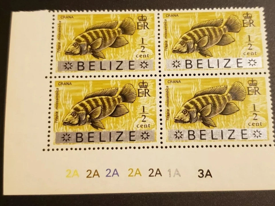 BELIZE 1973 Plate Scratch Variety (Scott 312;SG 347) — 第 1/3 张图片