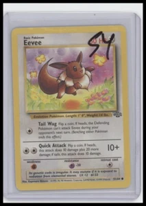 Jungle #51/64 Eevee - Picture 1 of 1