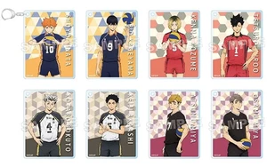 Juego de llaveros para tarjetas coleccionables Haikyu 8 piezas acrílico Hinata, Kageyama, Bokuto y más - Imagen 1 de 1
