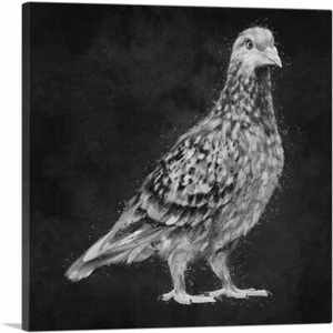 ARTCANVAS Pigeon Dove Bird Black White Canvas Art Print - Picture 1 of 11