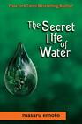 The Secret Life of Water, Masaru Emoto