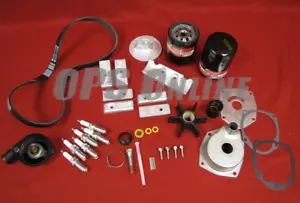 Mercury (FABRICANTE DE EQUIPOS ORIGINALES) Verado L6 cuatro tiempos - Kit de mantenimiento de 300 horas 8M0133617 NUEVO-2015 - Imagen 1 de 6