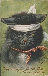 1908 Scraper Fighting CAT artist ARTHUR THIELE postcard - Picture 1 of 2