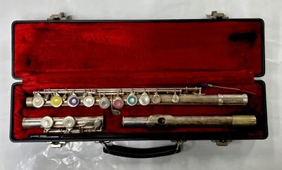 Flauta y estuche rígido serie personalizada | G225 | ¡ENVÍO GRATUITO!! Foto 1 de 4