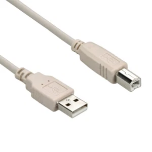 10Ft A-Male to B-Male USB2.0 Cable Ivory - Picture 1 of 1