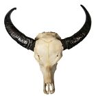 Large Murrah Buffalo Ram  Wild Boar Human Replica Skulls Wall Hanging Carved