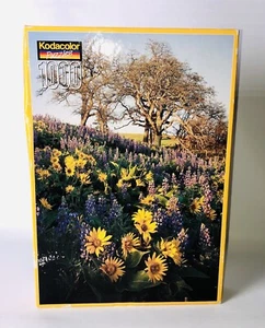 New in box vintage Kodacolor Kodak Casse-Tête puzzle 1000 pz - Picture 1 of 8