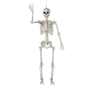 Life Size Posable 5' Skeleton Halloween Decoration, Home Decor, 1 Piece - Picture 1 of 4