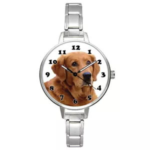 Golden Retriever Dog Breed Unisex Italian Charm Stretchable Bracelet Watch BM495 - Picture 1 of 5