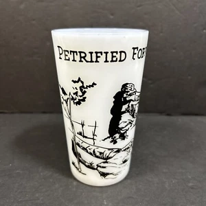 Vintage Petrified Forest National Park Arizona  Milk Glass Atlas Hazel - Picture 1 of 7