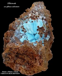 Shattuckite goethite and quartz - Tantara mine DRC Congo - Picture 1 of 12