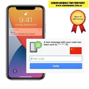 Verificación SMS con número de móvil chino +86 teléfono de China OTP SIN tarjeta SIM - Imagen 1 de 1