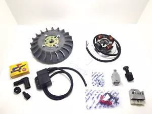 Accensione elettronica PARMAKIT cono 20mm, 0,9, volano IDM, ventola grigia, Smal - Imagen 1 de 3
