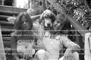 Superstar 1977 David Cassidy Kay Lenz ""Familia Partridge"" foto 002 - Imagen 1 de 1