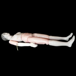 Anatomical Human Patient Care Manikin Model - Nursing Training Medical Anatomy - Picture 1 of 8