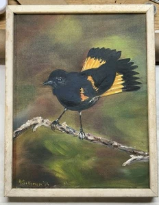 Pintura al óleo Lienzo Pájaro American Redstart Oriole Artista Firmado Rama Posando - Imagen 1 de 12