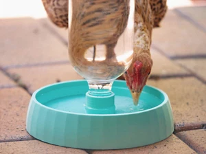 Sturdy Chicken Water Bowl | Farm Animal Chicken Waterer | Auto Dispenser Outdoor - Picture 1 of 7