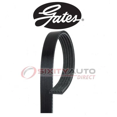 Gates Power Steering Serpentine Belt for 1991-1993 Alfa Romeo Spider 2.0L L4 vg Foto 1 de 4