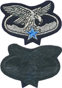 Insigne de Spécialité, Troupes de Montagne, argenté, en tissu, (9296) - Foto 1 di 2
