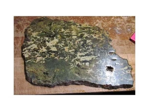 Unknown Stone Slab Petrified Wood? Jasper Crystal? - Picture 1 of 10
