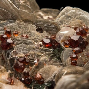Spessartine on Moscovite Skardu District, Gilgit-Baltistán, Pakistán 1301-BS2480 - Imagen 1 de 9