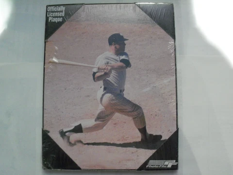 Mickey Mantle collectables lot : 8x10 plaque, HOF card, and Rare Donor Card Cover