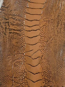 GENUINE OSTRICH LEG SKIN LEATHER HIDE EXOTIC LEATHER - Picture 1 of 6