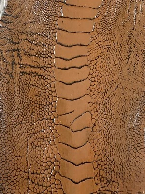 PIEL DE PIERNA DE AVESTRUZ GENUINA PIEL CUERO EXÓTICO Foto 1 de 4