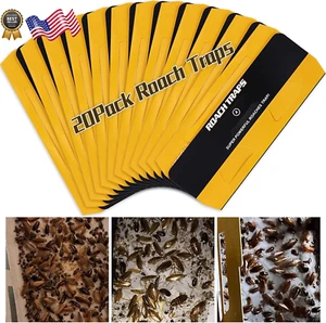 20 Pack Roach Traps Cockroach Traps Indoor Home Glue Roach Traps Child & Pets US - Picture 1 of 12