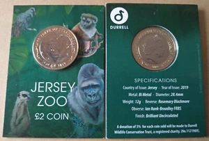MONEDA 2 LIBRAS JERSEY 2019 ZOO GORILA SC/UNC, MUY ESCASA, BLISTER OFICIAL - Imagen 1 de 1