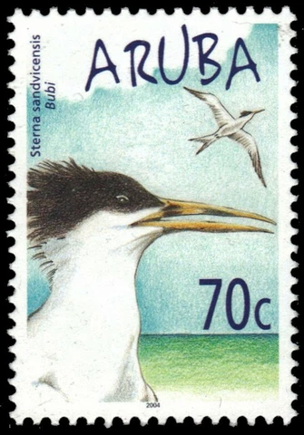 ARUBA 244 - Sandwich Tern "Sterna sandvicensis" (pb18967) Cover