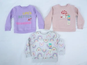 Baby Girl Lot 3 Long Sleeve Crew Neck Graphic Sweatshirts Size 24 Mo NEW - Picture 1 of 3