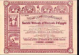 EGYPT Winery : Viticole & Vinicole d'Egypte Cairo 1950