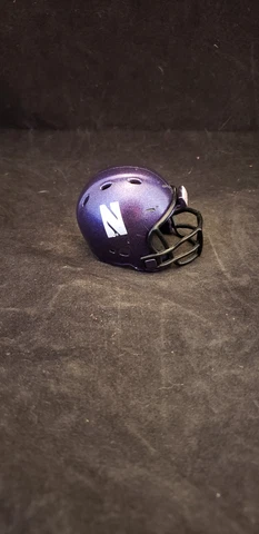 NORTHWESTERN WILDCATS BIG 10 #265 POCKET PRO HELMET RIDDELL Cover