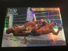 2006 Pride FC Anderson Silva Ryo Chonan Sparkle Card very rare UFC champ card Rc