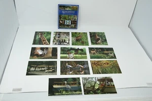 Vintage 1990s Set of 12 Nature Tourism Postcards Silver Springs, Florida FL - Picture 1 of 10