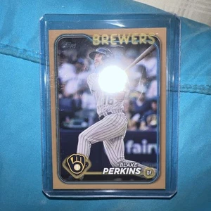 2024 Topps - Gold 336/2024 - #663 Blake Perkins - Milwaukee Brewers - Picture 1 of 2