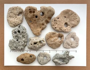 10 Natural Holey Beach Rocks Hag Fairy Stone Large 3/8" Hole Adder Mystical ❤️3L - Picture 1 of 17