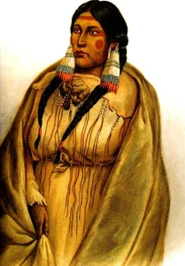 Karl Bodmer Donna della Tribù Cree 1832 17"x 22" Stampa artistica archivio - Foto 1 di 1